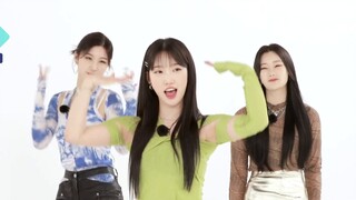PIXY คัฟเวอร์เต้นแบบสุ่มของ IVE, LESSERAFIM, (G)I-DLE, Choi Ye Na, REDVELVET