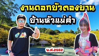 งานดอกบัวตองบานบ้านหัวแม่คำ 2562