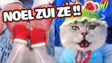 Giáng Sinh Bên Những Chiếc Mèo Xịn Sò Hơn Người Yêu Cũ 😎 | Pets TV