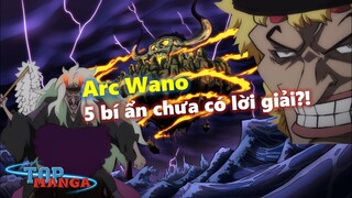 Top 5 bí ẩn đầy kích thích chưa có lời giải đáp xoay quanh Arc Wano