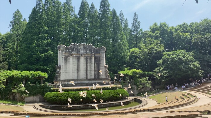 音乐台