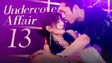 🇨🇳l EP13 Undercover Affair l2024 [SOFTCODED SUB]