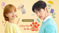 🇰🇷🇵🇭EP. 17 A GOOD DAY TO BE A DOG [TAGALOG DUBBED] HD | Comedy/Fantasy/Romance