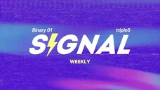 (ซับไทย)TripleS SIGNAL WEEKLY 230708