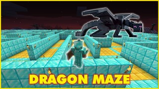 Minecraft NOOB vs PRO vs HACKER: BUILDING DRAGON MAZE in Minecraft / Animation