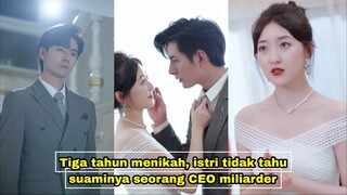 Tiga tahun menikah, istri tidak tahu kalau suaminya seorang ceo milliarder