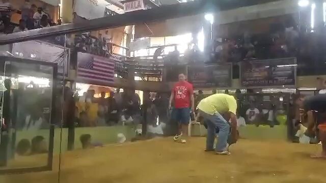 2nd fight full show of Raptor sweater champion buyers update