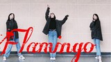 [Dance cover] Flamingo - Kenshi Yonezu