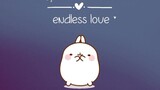 endless love ✨
