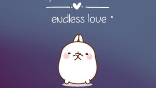endless love ✨