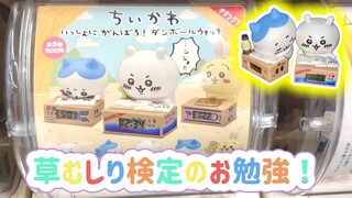 【ちいかわ】ダンボールウォッチのガチャガチャが可愛い！一緒に草むしり検定のお勉強をします。