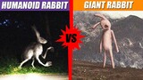 Humanoid Rabbit vs The Giant Rabbit | SPORE