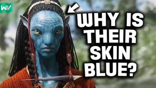 Why Are The Na’vi Blue? | Exploring Pandora