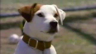 Wishbone The Prince and the Pooch Episode 3 Season 3 [GMA]