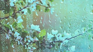 Silvetti-Spring Rain (Joseph Samuel 'Joel' Minas Birthday Theme Song)