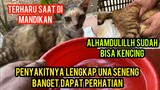 Allahu Akbar Di Bawa Pulang Dari Klinik Kucing Una Sudah Bisa Buang Air Kecil Dan Besar..!