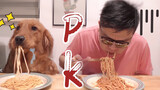 Golden dan Tuan berlomba makan spageti