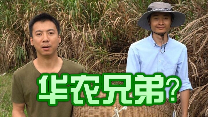 【梗百科139】竹鼠？中暑？漂亮警告？难道你就是这里的村霸嘛？？？！！
