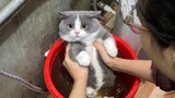 I don't wanna take a bath... 😾😿