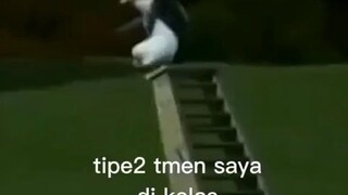 teman lu gimana?