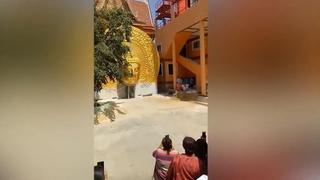 meme  Điều bất ngờ là đây sao?