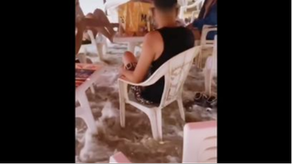 Đỉnh cao của nghịch ngu