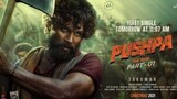 Pusha Movie 2021 Hindi With English Subtitles