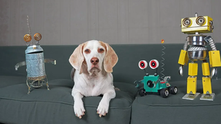 Dogs vs Steampunk Robot War สุนัขตลก Maymo Potpie และ Penny