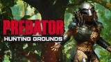 DIBURU PREDATOR!! | Predator Hunting Grounds Momen Lucu (Bahasa Indonesia)