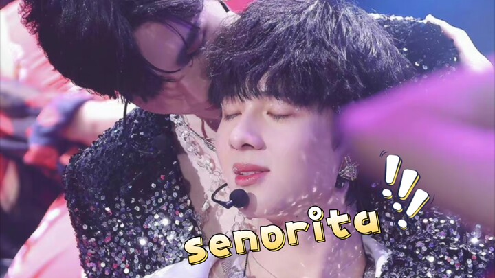 【ZeeNunew】我喜欢你叫我senorita（高清饭拍、中字、降噪）＋海子哥经典逗猫场面、托下巴