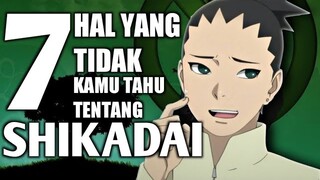 7 Hal Yang Tidak Kamu Tahu Tentang Shikadai