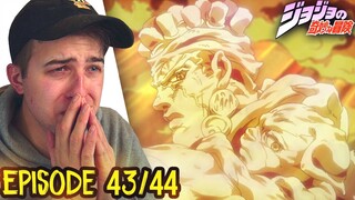 WHY ARAKI WHYYY!!😭JoJo's Bizarre Adventure Episode 43 & 44 REACTION + REVIEW (STARDUST CRUSADERS)