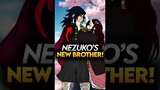 Why Tomioka Became Nezuko's new Big Brother? Demon Slayer Hashira Training #demonslayer #shorts