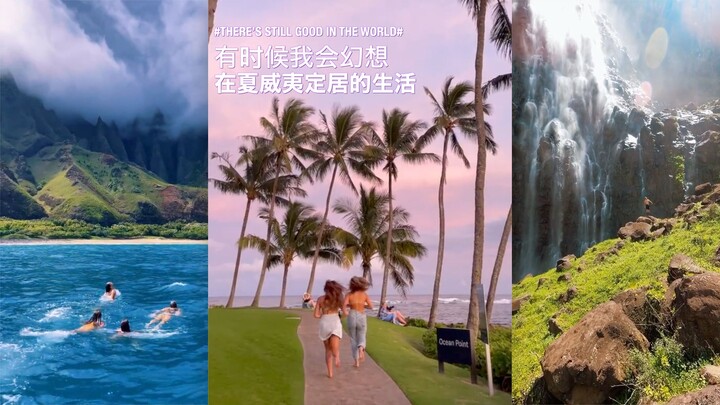 有时候我会幻想在夏威夷定居的生活