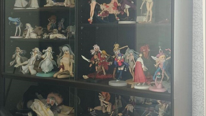 Let me show you my collection of figures. How many Indexes are there?