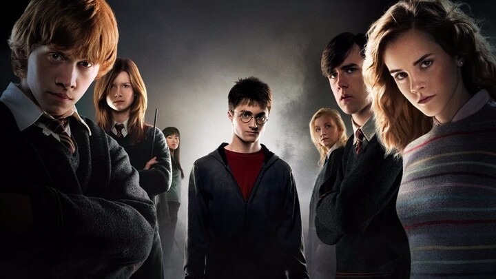 [1080/Harry Potter/Spotting] I would rather be a Muggle for life than believe there is no magic in t