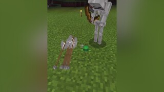 Tui xác định skeleton bị viễn thị nên ko thấy con rùa 🤣 Vãi thật 🤔🤔 minecraft xuhuong fp foryou minecraftpe minecraftmeme