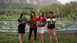 gadis Dayak ||  aktivitas gadis dayak di desa panen sayur-sayuran segar