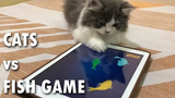 เกม Cats Vs Fish