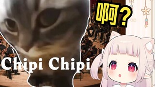 Japanese lolita couldn't hold back after watching "Chipi Cats Epic Symphony"