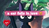 a cat falls in love 😻