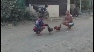 spar Ng mga bc
