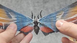 [First Share 354] The moth is coming! HIYA Mothra King of the Monsters