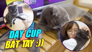 THỬ THÁCH DẠY CUP BẮT TAY TRONG MỘT NGÀY VÀ CÁI KẾT 😂😂😂 - CUP THE CAT