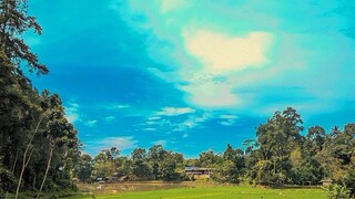 situ nazwa