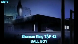 Shaman King TẬP 42-BALL BOY