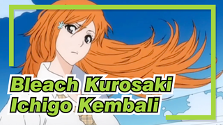 [Bleach / MAD] Kurosaki Ichigo: Aku Kembali Setelah Delapan Tahun 12.18