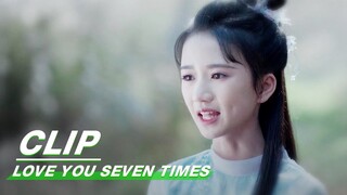 This Drama is So Good I Emphasize It 800 Times A Day | Love You Seven Times | 七时吉祥 | iQIYI