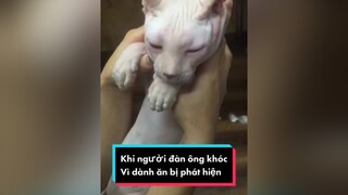 Con là Beo, con ăn vụng bị phát hiện nên con khóc á LearnOnTikTok tuitienpet petonesaigon dcgr