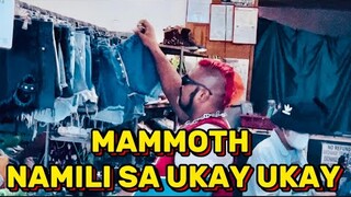 MAMMOTH NAMILI SA UKAY-UKAY